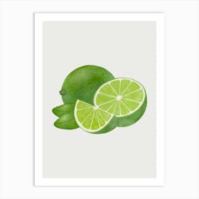 Lime Slices And Leaves Art Print