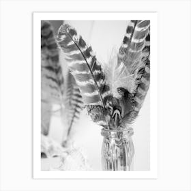 Feathers In A Vase Art Print