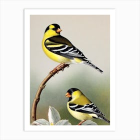 American Goldfinch 2 James Audubon Vintage Style Bird Art Print