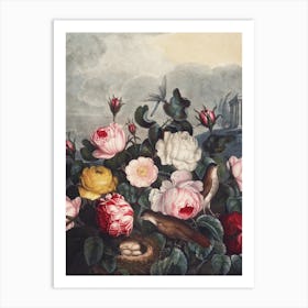 Vintage Thornton 5 Roses Art Print
