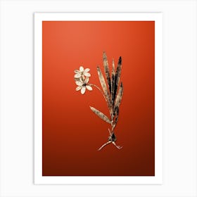 Gold Botanical Gladiolus Plicatus on Tomato Red n.0533 Art Print