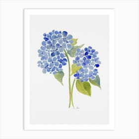 Blue Hydrangea Art Print