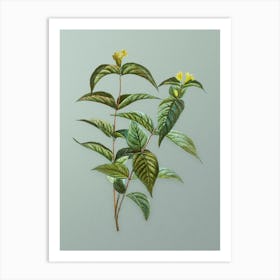 Vintage Northern Bush Honeysuckle Flowers Botanical Art on Mint Green n.0306 Art Print