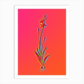 Neon Mossel Bay Tritonia Botanical in Hot Pink and Electric Blue n.0043 Art Print