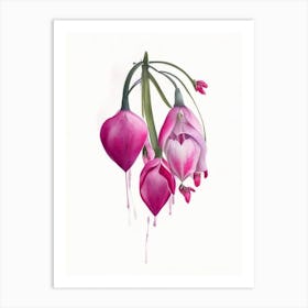 Bleeding Heart Wildflower Watercolour Art Print