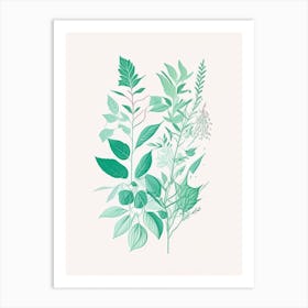 Mint Spices And Herbs Minimal Line Drawing 3 Art Print