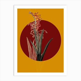 Vintage Botanical Antholyza Aethiopica on Circle Red on Yellow n.0270 Art Print