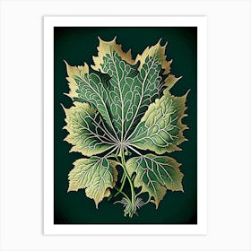 Siberian Ginseng Leaf Vintage Botanical 3 Art Print