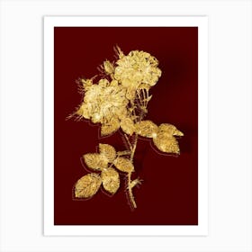 Vintage White Damask Rose Botanical in Gold on Red n.0377 Art Print