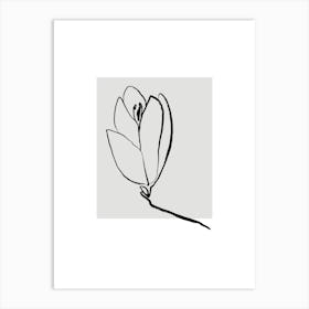 Tulip Art Print