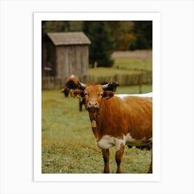 Autumn Cow Art Print