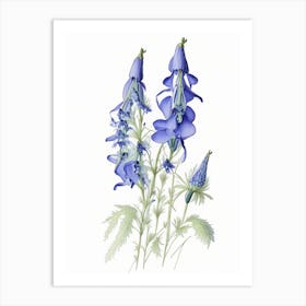 Delphinium Floral Quentin Blake Inspired Illustration 3 Flower Art Print