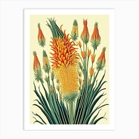 Kniphofia Floral 3 Botanical Vintage Poster Flower Art Print