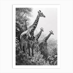 Giraffes In The Wild Pencil Portrait 2 Art Print