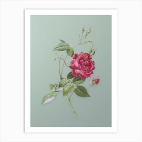 Vintage Blood Red Bengal Rose Botanical Art on Mint Green n.0996 Art Print