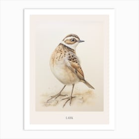 Vintage Bird Drawing Lark 2 Poster Art Print