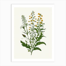 Vintage Botanical Galleria Style Wildflower Painting 33 Art Print