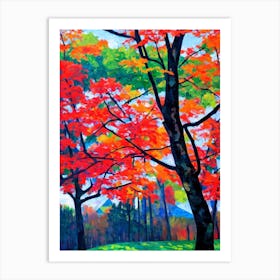 Red Maple Tree Cubist Art Print