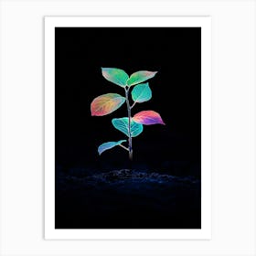 Plant Growing In The Dark 29 Art Print