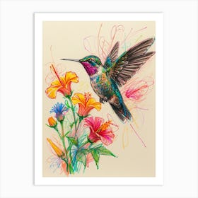 Hummingbird 24 Art Print