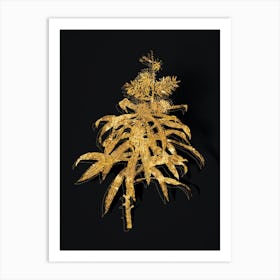 Vintage Pleomele Botanical in Gold on Black Art Print
