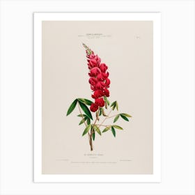 Flint Flower Art Print