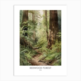 Redwood Forest 3 Watercolour Travel Poster Art Print