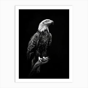 Bald Eagle Art Print