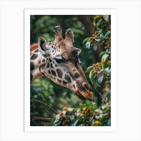 Giraffe In The Forest Art Print