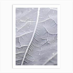 Close Up Of A Leaf Art Print