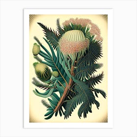 Pincushion Hakea Fern Vintage Botanical Poster Art Print