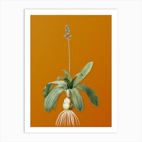 Vintage Scilla Lilio Hyacinthus Botanical on Sunset Orange n.0737 Art Print