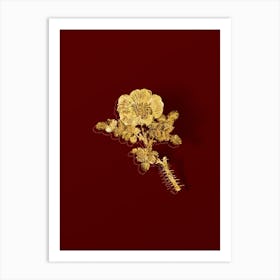 Vintage Burnet Rose Botanical in Gold on Red n.0141 Art Print
