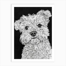 Maltese Dog Line Drawing Sketch 2 Art Print