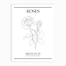 Roses Sketch 25 Poster Art Print