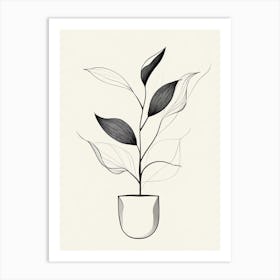 Plant In A Pot Art Print