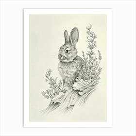 Silver Marten Rabbit Drawing 3 Art Print
