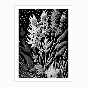 Blazing Star Wildflower Linocut 1 Art Print