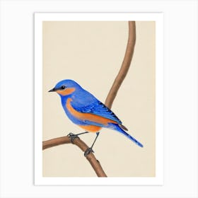 Eastern Bluebird Illustration Bird Art Print