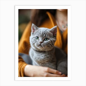 British Shorthair Kitten 1 Art Print