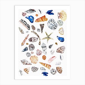 Cornish Seashells Art Print