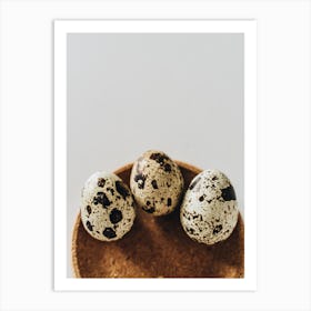 Quail Eggs 33 Art Print