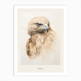 Vintage Bird Drawing Eagle 3 Poster Art Print