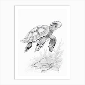 Hatching Sea Turtle, Sea Turtle Quentin Blake Illustration 2 Art Print
