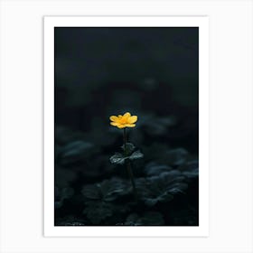 Yellow Flower 9 Art Print