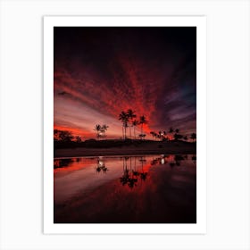 Sunset Palm Reflection Art Print
