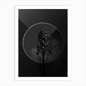 Shadowy Vintage Yellow Asphodel Botanical on Black with Gold n.0194 Art Print