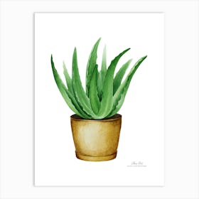 Aloe vera plant. Green plant. Beautiful plant. Thorns plant. Aloe vera flowers.21 Art Print