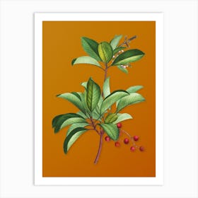 Vintage Greek Strawberry Tree Botanical on Sunset Orange n.0818 Art Print