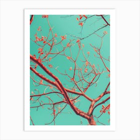 Red Leaves On A Tree Art Print